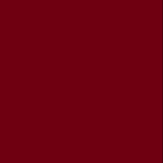 Oracal® 651 Burgundy 312