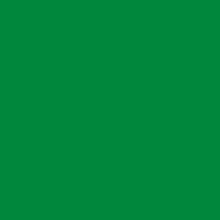 Oracal® 651 Light Green 062 - Crafty Vinyl Boutique 