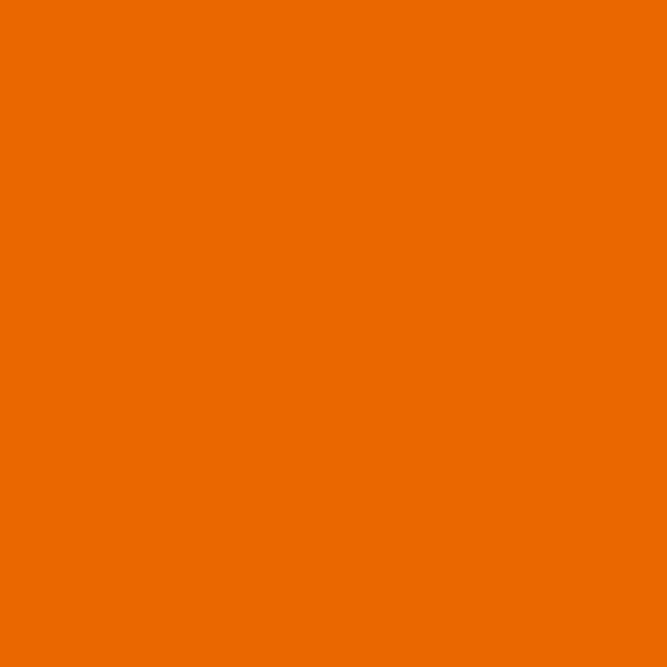 Oracal® 651 Light Orange 036 - Crafty Vinyl Boutique 
