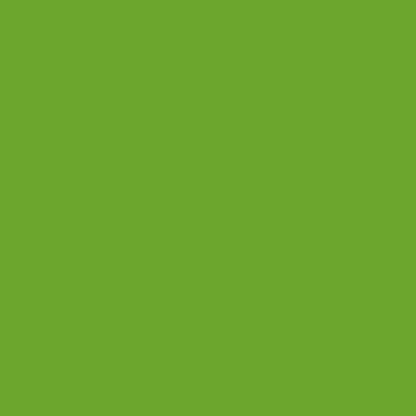 Oracal® 651 Lime Tree Green 063 - Crafty Vinyl Boutique 
