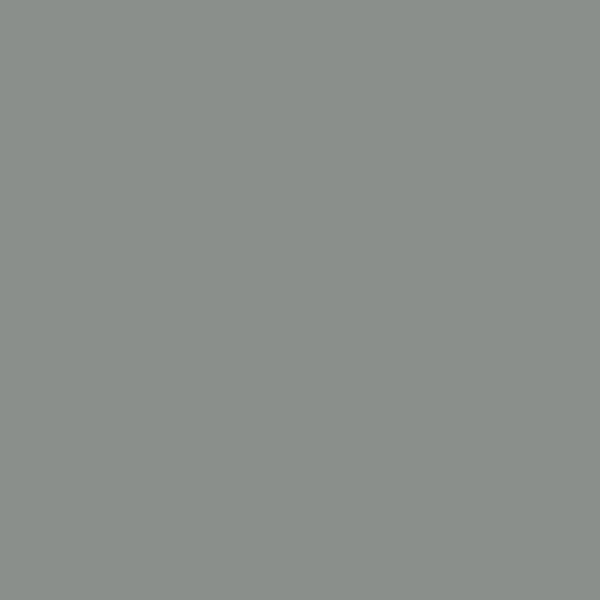 Oracal® 651 Middle Grey 074 - Crafty Vinyl Boutique 