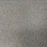 StyleTech Transparent Holographic Silver Glitter